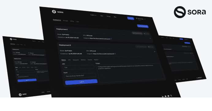 Sora Cloud AI infrastructure and LLM marketplace case study preview